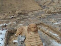 The Enigmatic Sphinx: A Snow-Kissed Wonder