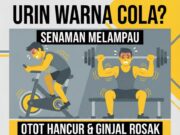 Amaran Kesihatan: Air Kencing Warna Coca-Cola Selepas Senaman – Isyarat Otot Anda Terancam!