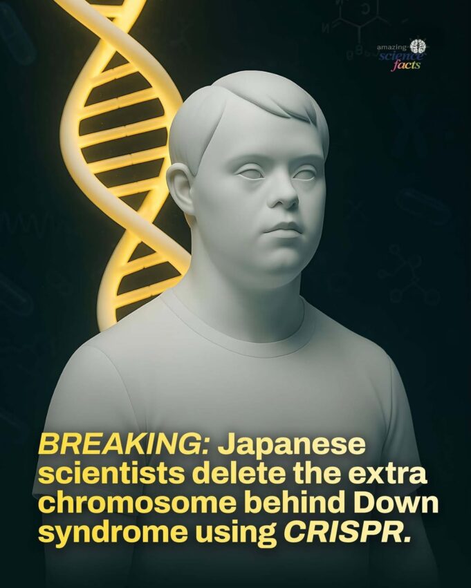 Revolusi Genetik: Saintis Jepun Gunakan CRISPR untuk Mencapai Kemajuan Besar