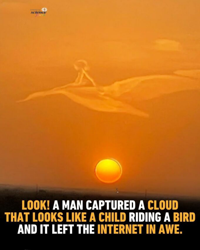 Imaginasi Terbang: Anak dan Burung di Awan