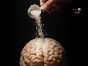 Peranan Creatine dalam Metabolisme Tenaga Otak: Mempercepat Regenerasi ATP