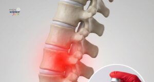 Ubat Terobosan Berasaskan Protein Plasenta Melangkah ke Ujian Manusia