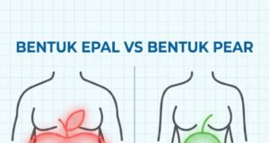 Bahaya Bentuk Epal: Mengapa Kurus tetapi Buncit Menjadi Kebimbangan Saintis