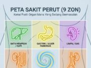 Kenali Tanda-Tanda Masalah Organ: Jangan Abaikan Kesihatan Anda!