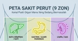 Kenali Tanda-Tanda Masalah Organ: Jangan Abaikan Kesihatan Anda!