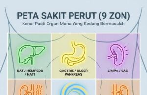 Kenali Tanda-Tanda Masalah Organ: Jangan Abaikan Kesihatan Anda!