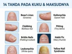 Kuku: Dashboard Kecantikan dan Kesihatan Tangan