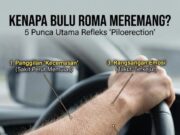 Sentuhan Kenangan: Playlist Ex yang Menggugah Perasaan