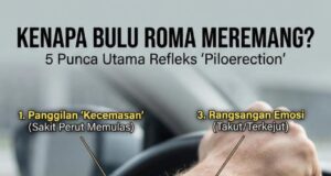 Sentuhan Kenangan: Playlist Ex yang Menggugah Perasaan