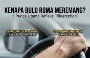 Sentuhan Kenangan: Playlist Ex yang Menggugah Perasaan