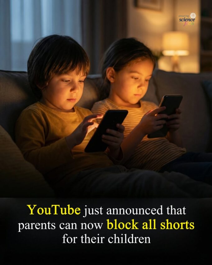 Parent Controls: YouTube Shorts Feature Now Can Be Disabled