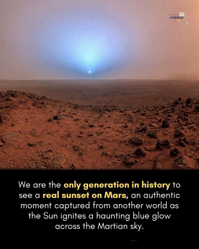 Keajaiban Senja Martian: Cahaya Biru yang Menyala di Hujung Cakrawala
