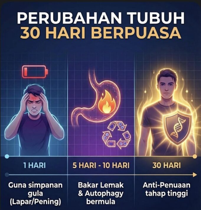 Proses Tubuh dalam Menyambut Niat Puasa: Apa yang Berlaku Setelah Anda Bertekad