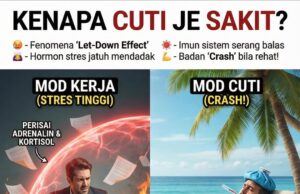 Pantang Cuti: Dari Demam ke Migrain – Kisah Cuti yang Tak Kesampaian