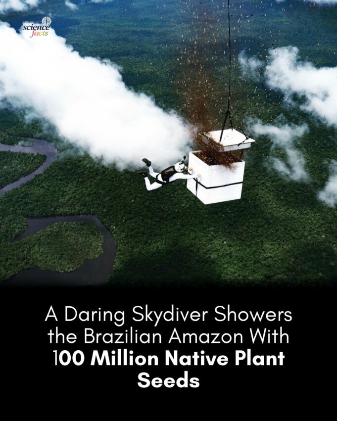 Luigi Cani: Pelopor Aerial Seeding Melalui Skydiving