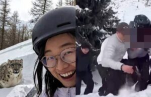 Seorang wanita mengalami kecelakaan tragis ketika cuba mengambil ‘selfie’ dengan harimau bintang semasa aktiviti ski. Insiden ini mengakibatkan kulit wajahnya terhakis, memberi amaran kepada orang ramai tentang bahaya berinteraksi dengan haiwan liar. Keinginan untuk bergambar dengan haiwan yang megah itu berakhir dengan padah yang tidak diduga, mengundang rasa simpati dan kebimbangan di kalangan netizen.