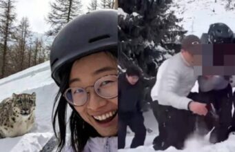 Seorang wanita mengalami kecelakaan tragis ketika cuba mengambil ‘selfie’ dengan harimau bintang semasa aktiviti ski. Insiden ini mengakibatkan kulit wajahnya terhakis, memberi amaran kepada orang ramai tentang bahaya berinteraksi dengan haiwan liar. Keinginan untuk bergambar dengan haiwan yang megah itu berakhir dengan padah yang tidak diduga, mengundang rasa simpati dan kebimbangan di kalangan netizen.