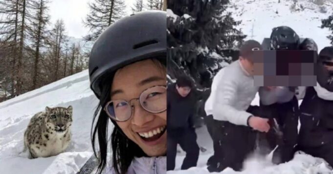 Seorang wanita mengalami kecelakaan tragis ketika cuba mengambil ‘selfie’ dengan harimau bintang semasa aktiviti ski. Insiden ini mengakibatkan kulit wajahnya terhakis, memberi amaran kepada orang ramai tentang bahaya berinteraksi dengan haiwan liar. Keinginan untuk bergambar dengan haiwan yang megah itu berakhir dengan padah yang tidak diduga, mengundang rasa simpati dan kebimbangan di kalangan netizen.
