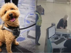 Seorang wanita di AS ditangkap kerana meninggalkan anjing di lapangan terbang.