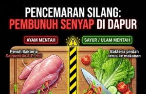 Hidangan Seimbang untuk Keluarga: Memasak Ayam Sehat dengan Cinta