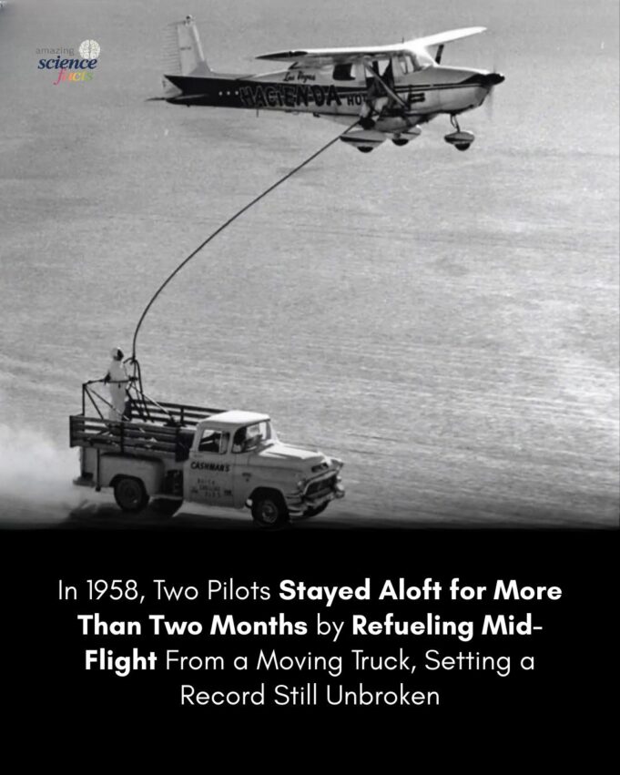 Penerbangan Bersejarah: Pengembaraan Tanpa Henti Timm dan Cook dari Las Vegas