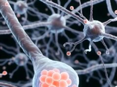 Peranan Dopamin dalam Otak Manusia: Kunci kepada Rangsangan dan Motivasi