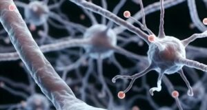 Peranan Dopamin dalam Otak Manusia: Kunci kepada Rangsangan dan Motivasi