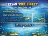 Nasib Ikan Kecil: Dilema Dalam Tangki Bersama Predator