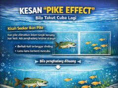 Nasib Ikan Kecil: Dilema Dalam Tangki Bersama Predator