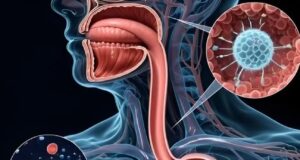 Proses Pencernaan: Dari Gigitan Pertama hingga Nutrisi Diserap