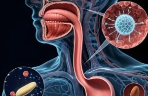 Proses Pencernaan: Dari Gigitan Pertama hingga Nutrisi Diserap