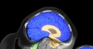 Reaksi Serentak: Bagaimana Otak Ibu Menanggapi Tangisan Bayi