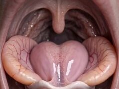 Bimbingan dan Pemahaman Terhadap Topik Tersebut