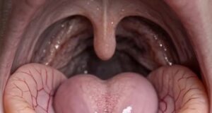 Bimbingan dan Pemahaman Terhadap Topik Tersebut