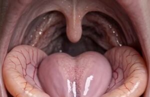 Bimbingan dan Pemahaman Terhadap Topik Tersebut