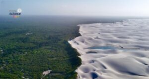 Keajaiban Alam: Keindahan Taman Negara Lençóis Maranhenses