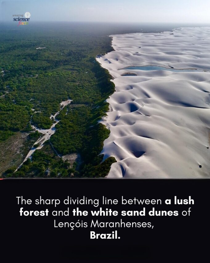 Keajaiban Alam: Keindahan Taman Negara Lençóis Maranhenses