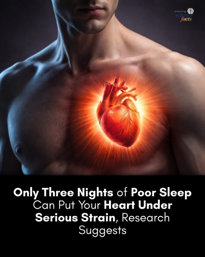 Impak Tidur Buruk Terhadap Kesihatan Kardiovaskular
