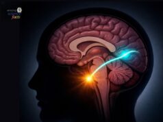 Penemuan Terkini dalam Neurosains: Impak Tin terhadap Fungsi Otak Manusia