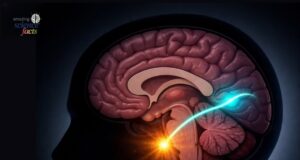 Penemuan Terkini dalam Neurosains: Impak Tin terhadap Fungsi Otak Manusia