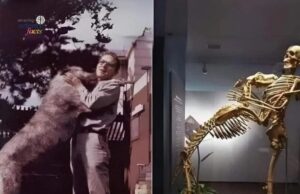 Pengaruh Grover Krantz dalam Antropologi Fizikal dan Kajian Manusia