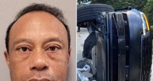 Tiger Woods Dihentikan Dalam Insiden Mencuri Perhatian Dunia