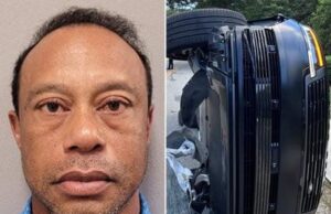 Tiger Woods Dihentikan Dalam Insiden Mencuri Perhatian Dunia