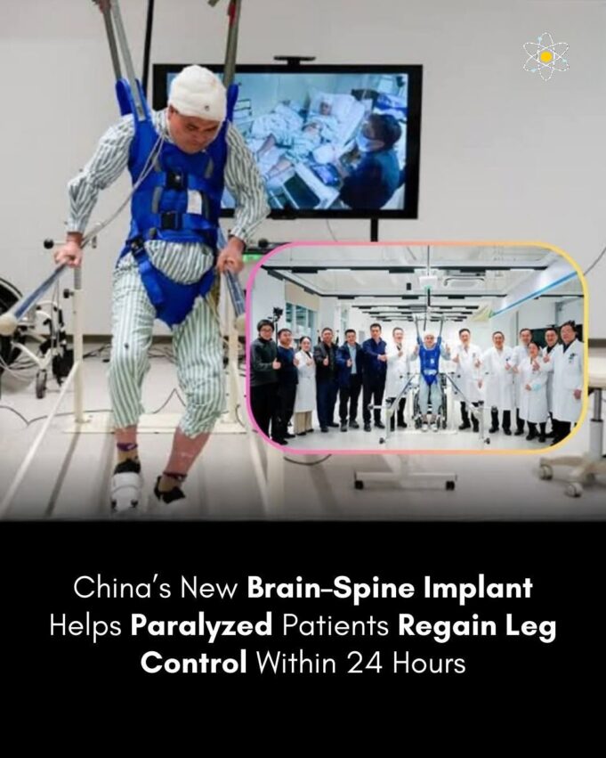 Inovasi Penyelidikan di Shanghai: Kolaborasi Fudan University dan Institusi Terkait