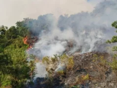 Sarawak dalam keadaan berjaga-jaga terhadap asap ekoran 18 kebakaran hutan dan 241 titik panas di Kalimantan dikesan.