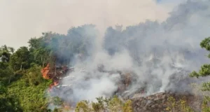 Sarawak dalam keadaan berjaga-jaga terhadap asap ekoran 18 kebakaran hutan dan 241 titik panas di Kalimantan dikesan.