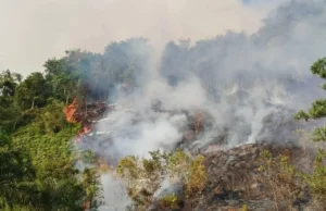 Sarawak dalam keadaan berjaga-jaga terhadap asap ekoran 18 kebakaran hutan dan 241 titik panas di Kalimantan dikesan.