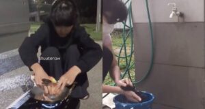 Kehidupan Nonny Nadirah kini menarik perhatian ramai selepas dilihat menumpang di stesen minyak. Pelbagai reaksi dari peminat muncul, ada yang merasa simpati dan mengungkapkan rasa prihatin terhadap keadaannya. Ramai yang mendoakan agar dia cepat kembali kepada kehidupan normal dan mendapatkan peluang yang lebih baik. Situasi ini membuka mata orang ramai tentang cabaran yang dihadapi oleh individu dalam industri seni.