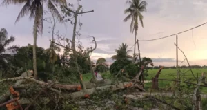 Hujan lebat menyebabkan 4 pokok tumbang dalam masa sejam di Hilir Perak.