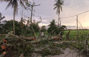 Hujan lebat menyebabkan 4 pokok tumbang dalam masa sejam di Hilir Perak.